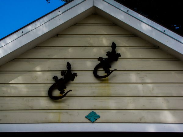 Cost of Shiplap Siding Installation in Lansdale